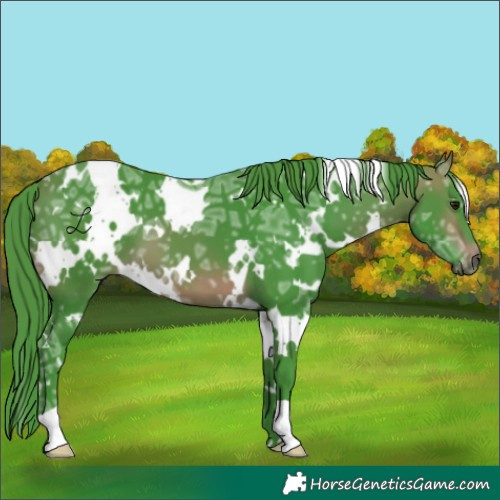Horse Color:Watercolor White Spotted Brown Ice 