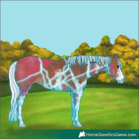 Horse Color:Thunderstruck White Spotted Silver Brown