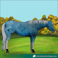 Horse Color:ERROR: UNKNOWN ANOMALY