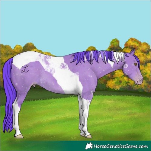 Horse Color:Watercolor Classic Cream Champagne Tobiano 