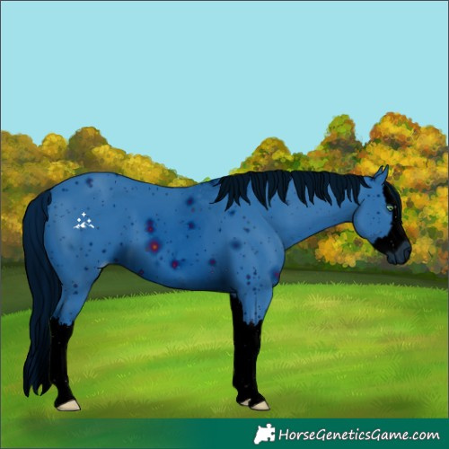 Horse Color:ERROR: UNKNOWN ANOMALY