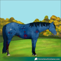 Horse Color:ERROR: UNKNOWN ANOMALY