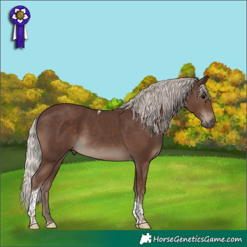 Horse Color:Silver Black Tobiano 