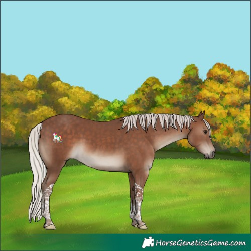 Horse Color:Silver Black Tobiano 