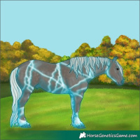 Horse Color:Thunderstruck Silver Black Tobiano