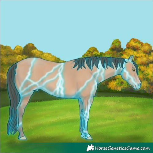 Horse Color:Thunderstruck Amber Champagne 