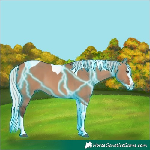 Horse Color:Thunderstruck Silver Brown Dun Splash Tobiano 