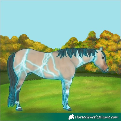 Horse Color:Thunderstruck Bay Dun