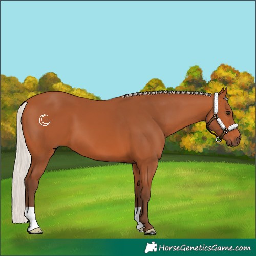 Horse Color:Silver Bay