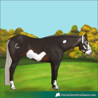 Horse Color:Gray Silver Brown Frame
