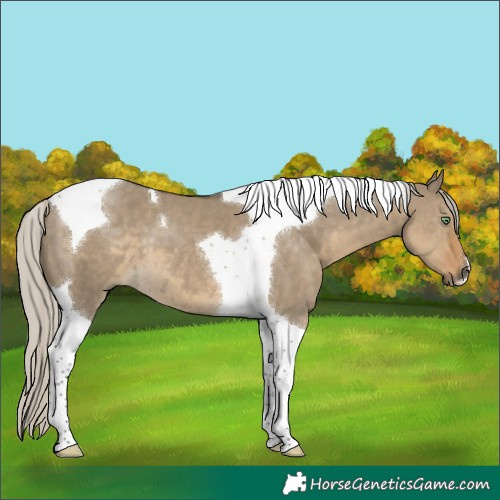 Horse Color:Silver Smoky Grullo Tobiano 