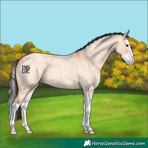Horse Color:Bay Roan Dun Splash 