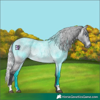 Horse Color:Silver Bay Chinchilla Roan