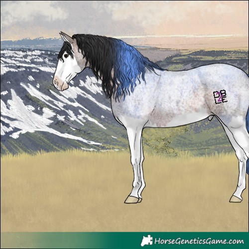 Horse Color:Brown Roan Splash 