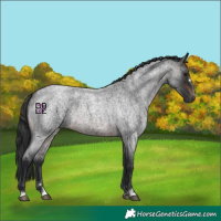 Horse Color:Brown Roan