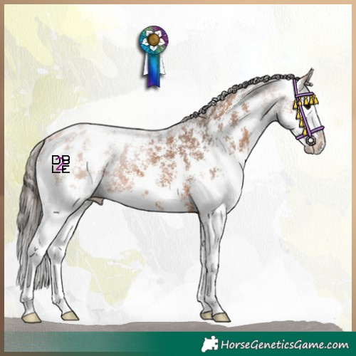 Horse Color:Bay Sabino Splash Appaloosa 