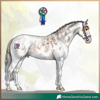 Horse Color:Bay Sabino Splash Appaloosa