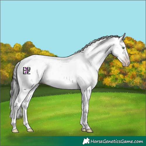Horse Color:Gray Amber Champagne Sabino 