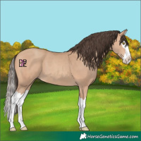 Horse Color:Amber Champagne Splash