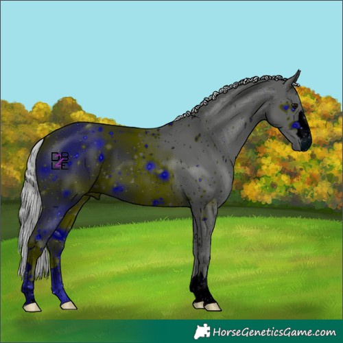 Horse Color:ERROR: UNKNOWN ANOMALY
