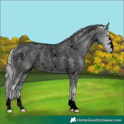 Horse Color:ERROR: UNKNOWN ANOMALY