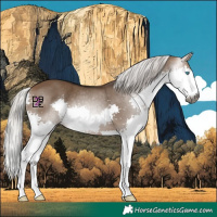 Horse Color:Gray Silver Bay Dun Splash