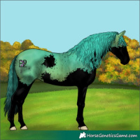 Horse Color:Void Watercolor Bay Splash