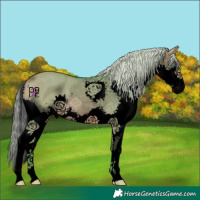 Horse Color:Void Watercolor Silver Brown Dun Splash