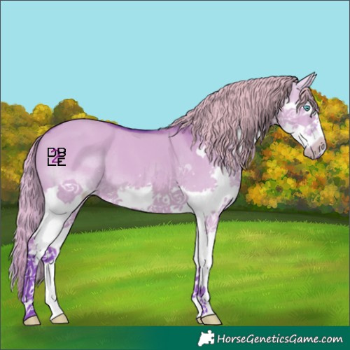 Horse Color:Watercolor Liver Red Dun Splash 