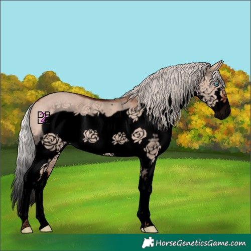 Horse Color:Void Silver Bay Dun Splash Frame