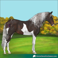 Horse Color:Silver Brown Mushroom Tobiano 