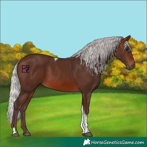 Horse Color:Silver Brown Mushroom Tobiano