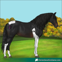 Horse Color:Gray Brown Mushroom Tobiano