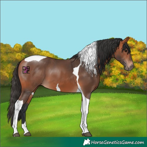 Horse Color:Bay Mushroom Tobiano 