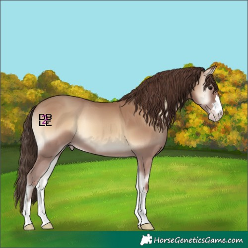 Horse Color:Classic Champagne Onyx 