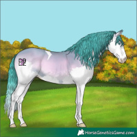 Horse Color:Watercolor Classic Champagne Onyx Splash Tobiano 