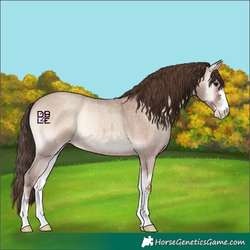 Horse Color:Classic Champagne Roan Onyx 