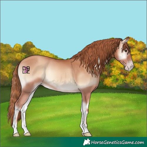 Horse Color:Gold Champagne Onyx