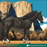 Horse Color:Midnight Bay Ice Dun 