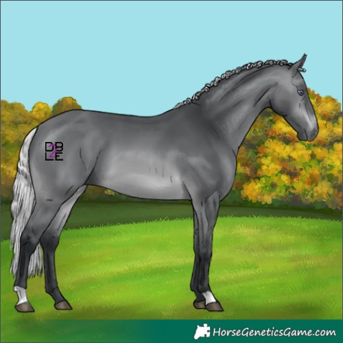 Horse Color:Silver Brown Chinchilla