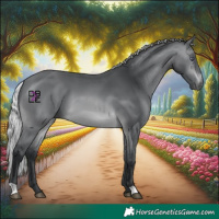 Horse Color:Silver Brown Chinchilla