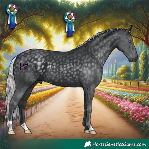 Horse Color:Silver Black Chinchilla 