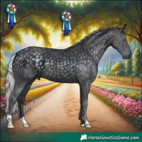 Horse Color:Silver Black Chinchilla