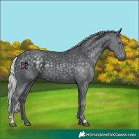 Horse Color:Silver Black Chinchilla 