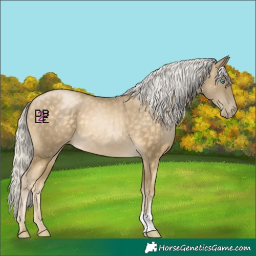 Horse Color:Silver Buckskin Pearl