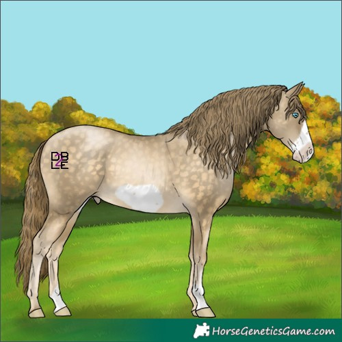 Horse Color:Buckskin Pearl Frame 