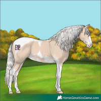 Horse Color:Silver Perlino Tobiano Frame