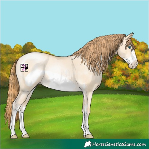 Horse Color:Buckskin Pearl Dun Sabino Frame 