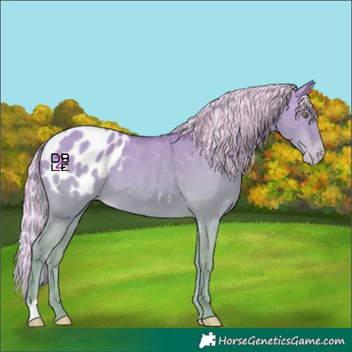 Horse Color:Platinum Painted Silver Amber Champagne Dun Appaloosa 