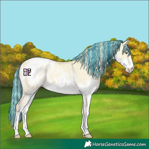 Horse Color:Platinum Painted White Spotted Gold Champagne Dun Sabino Appaloosa 